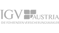 logo_igv